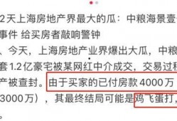 网红大瓜小说免费阅读,免费阅读背后的秘密与诱惑