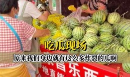 吃瓜炸裂,揭秘娱乐圈幕后真相